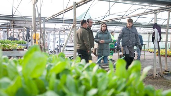 La Diputación comienza repartir plantas ornamentales por la provincia