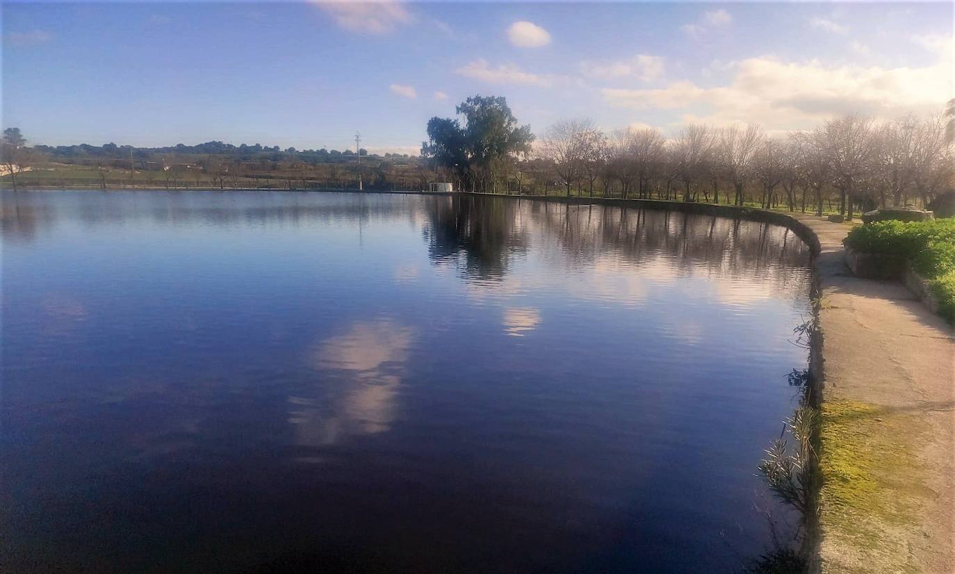 Una zona de la charca de San Lázaro 