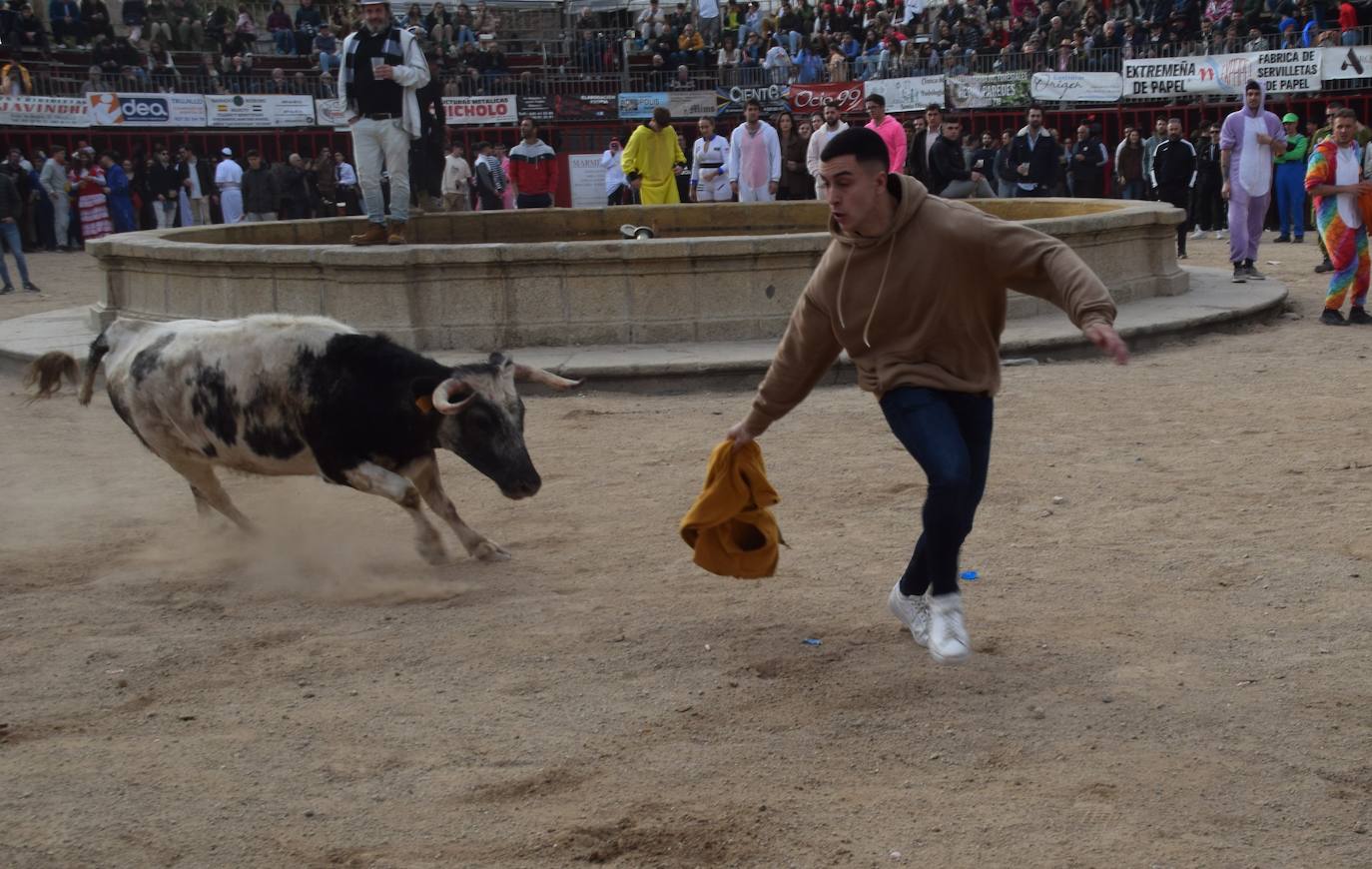 Las dos agrupaciones participantes Pavo Real y Yupik 