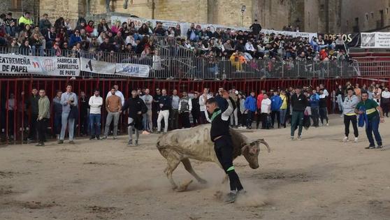 Los carnavales contarán con siete festejos taurinos