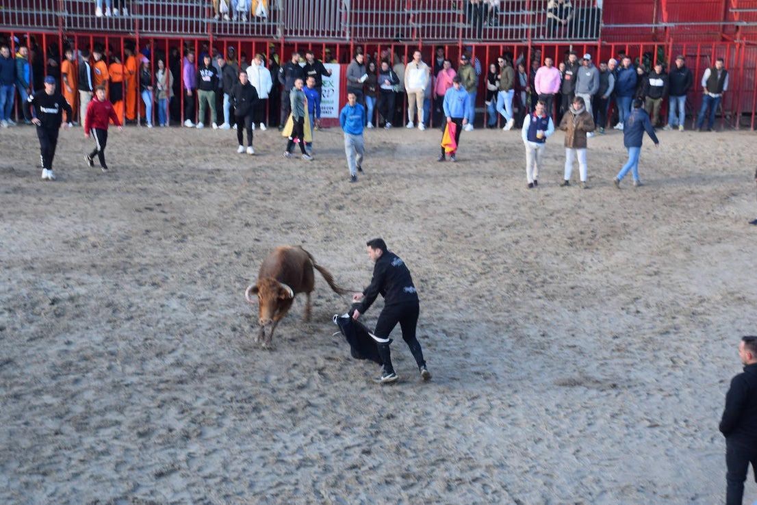 Concurso de comparsas y primer día de festejos taurinos