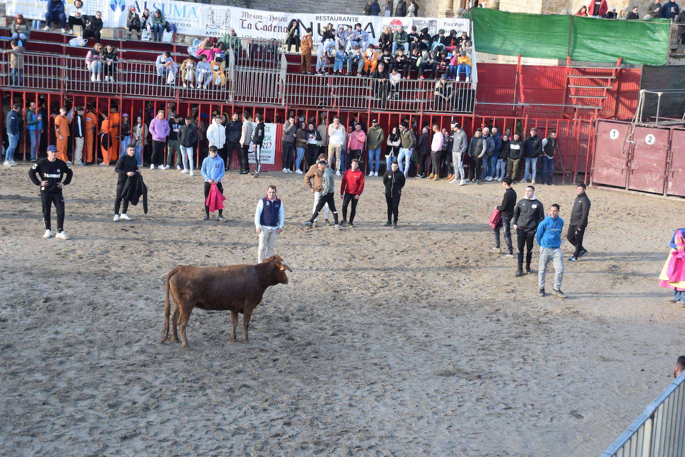Concurso de comparsas y primer día de festejos taurinos