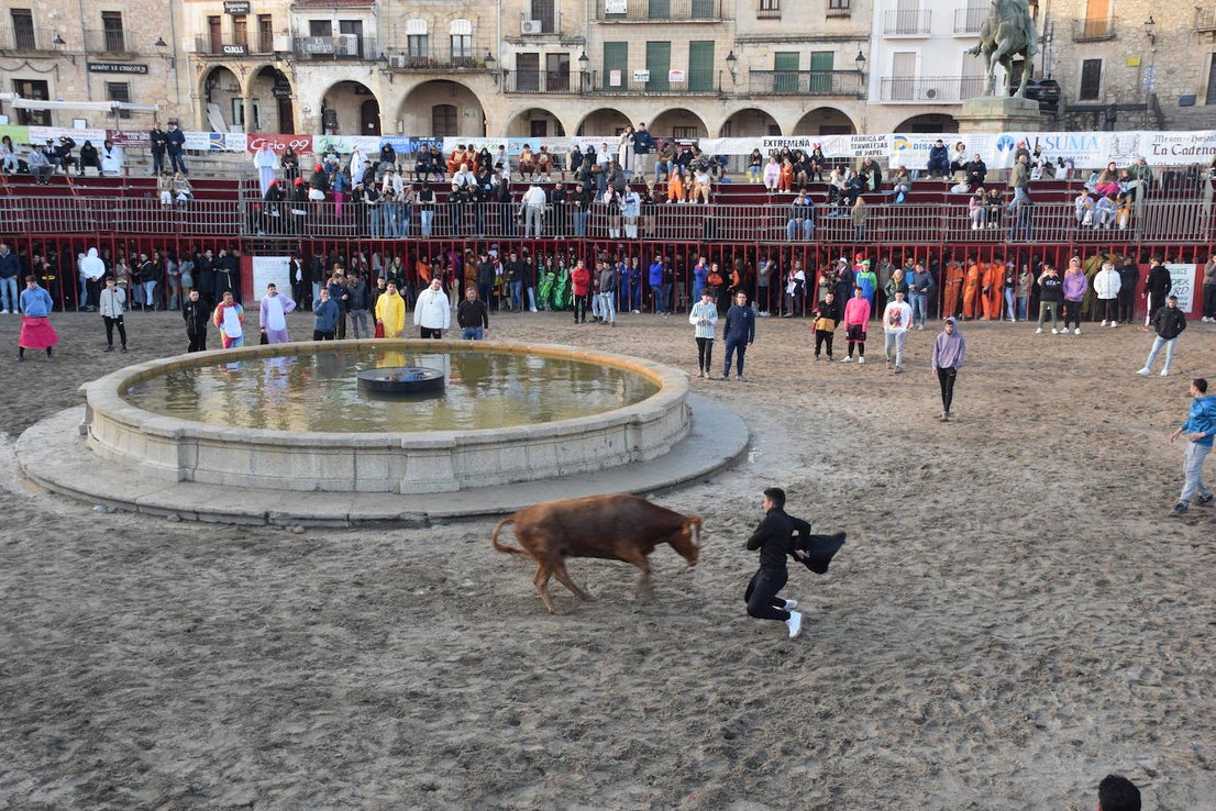 Concurso de comparsas y primer día de festejos taurinos