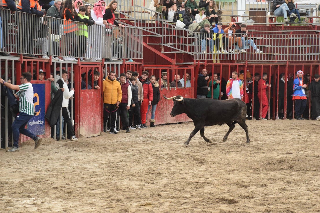 Concurso de comparsas y primer día de festejos taurinos