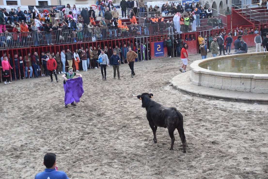 Concurso de comparsas y primer día de festejos taurinos