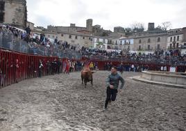 Uno de los aficionados con el toro de Arriazu