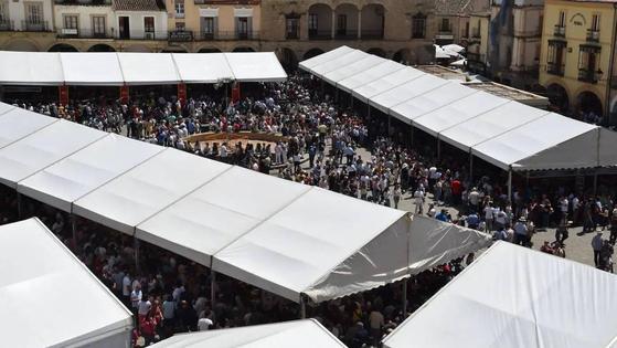 Asemtru apuesta por una Feria Nacional del Queso más técnica