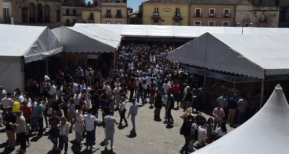 Denuncian los problemas en la Feria del Queso ante la falta de policías locales