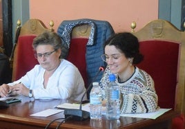 Ana Iglesias, en una intervención en el Pleno, junto a la edil socialista María José Bernal.