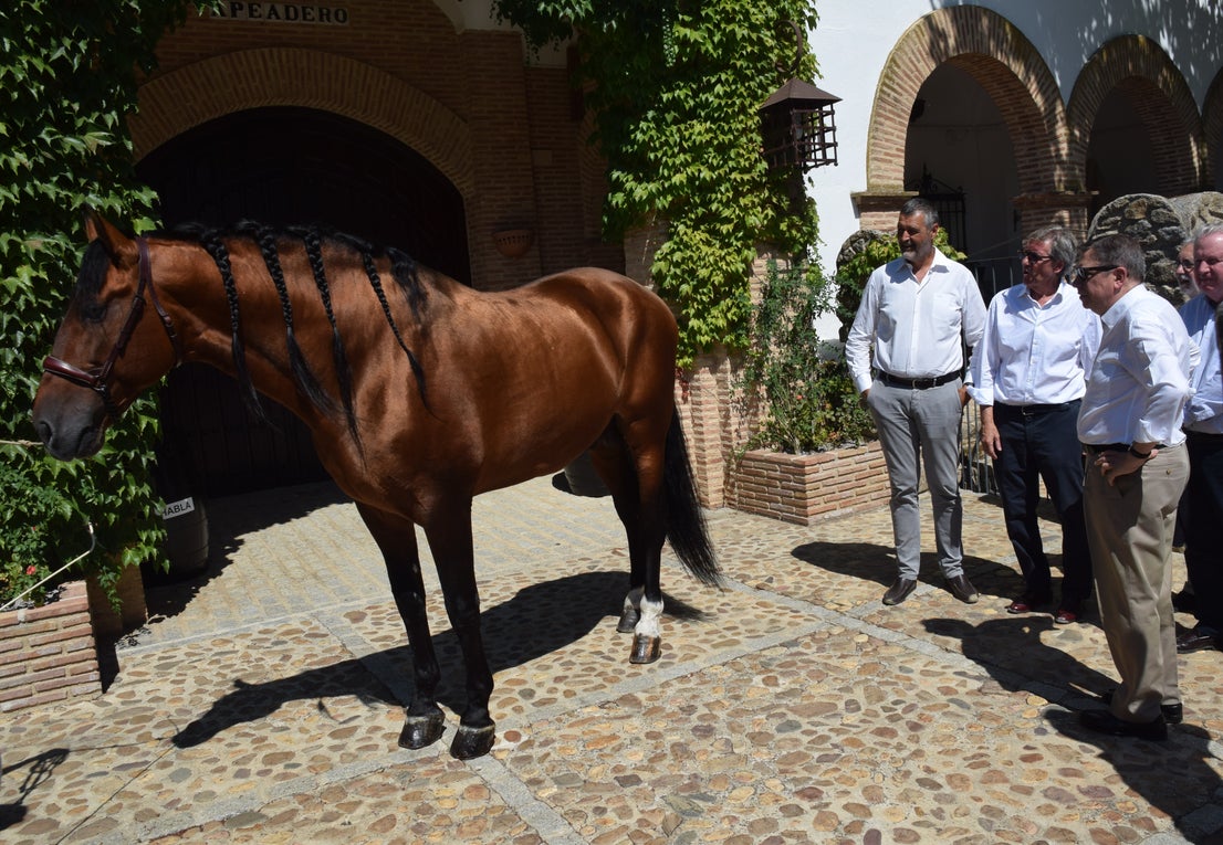 Visita del ministro de Agricultura a Bodegas Habla