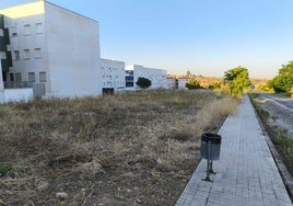 Los terrenos donde se quiere instalar la pista de pádel.