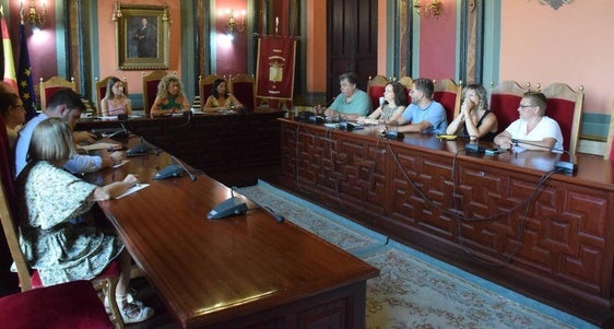 Cuatro plenos para terminar de definir un cambio urbanístico