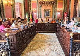 Sesión plenaria celebrada hace unos días donde se habló del asunto