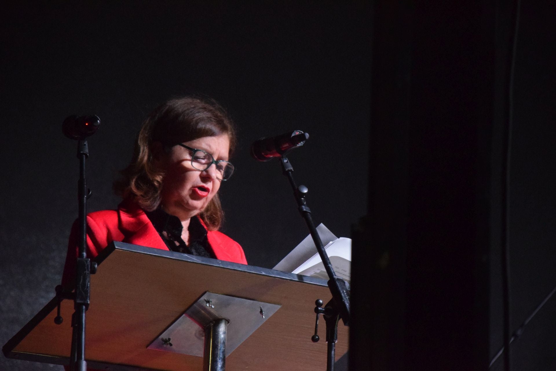 Proclamación de reinas y damas de las fiestas de Huertas de Ánimas