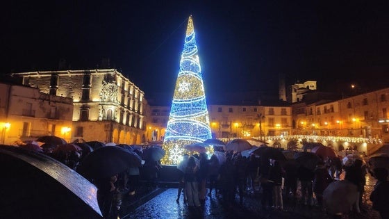 La plaza Mayor tendrá un gran árbol de Navidad de 14 metros de altura