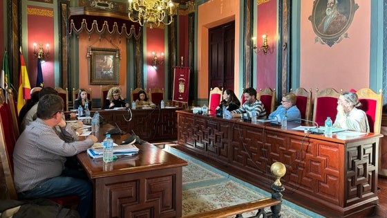 La sesión plenaria solicitada por el PSOE tendrá lugar esta mañana