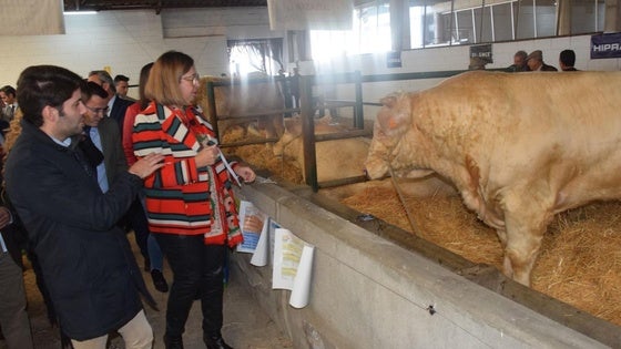 La lengua azul, muy presente en la inauguración de la Agroganadera