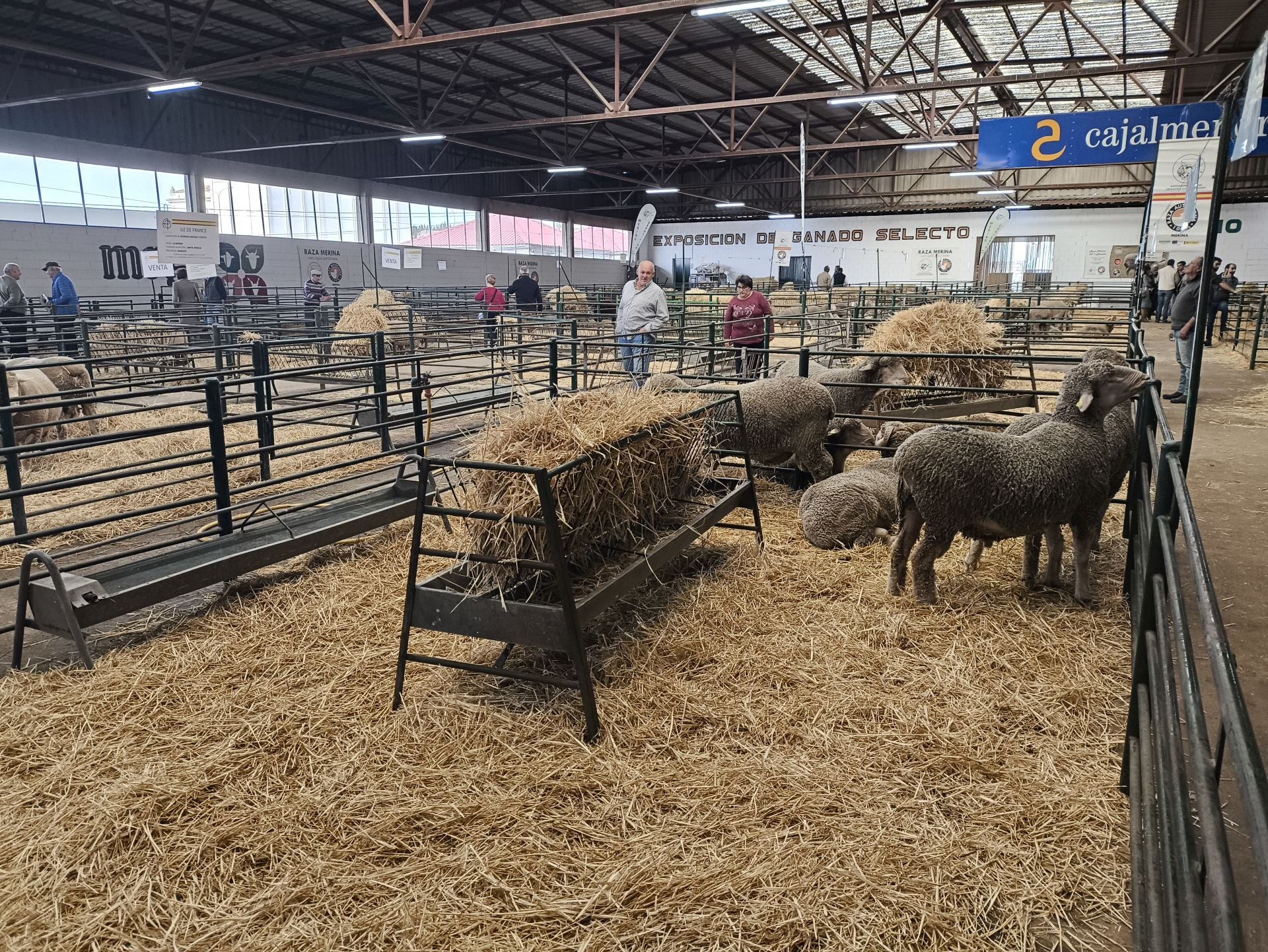 La Feria Agroganadera se celebró a pesar de la lengua azul