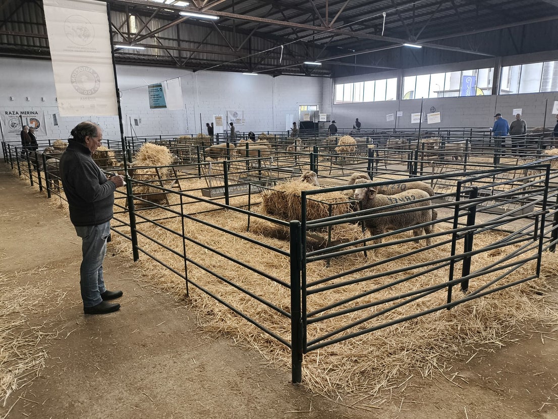 La Feria Agroganadera se celebró a pesar de la lengua azul