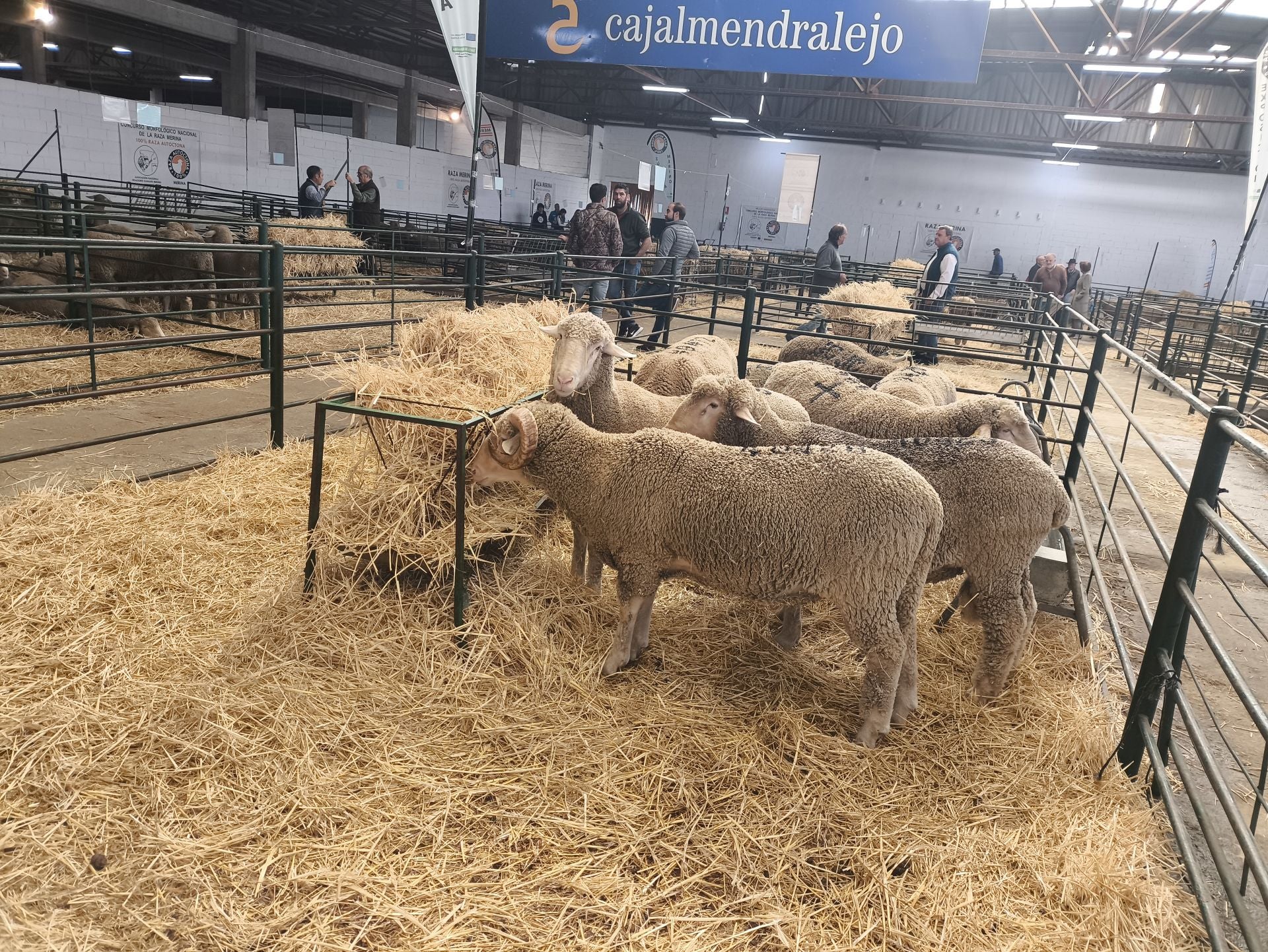 La Feria Agroganadera se celebró a pesar de la lengua azul