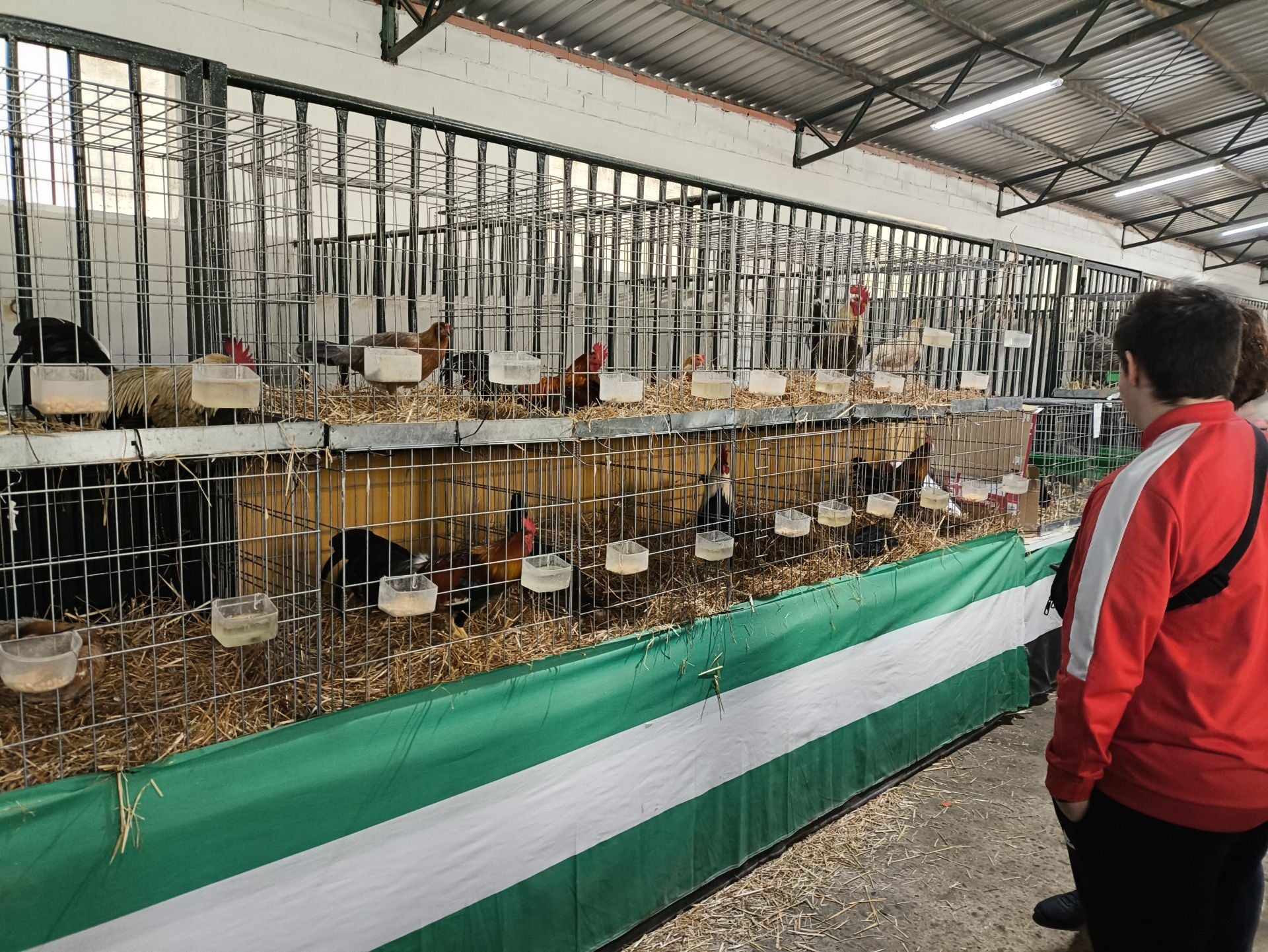 La Feria Agroganadera se celebró a pesar de la lengua azul