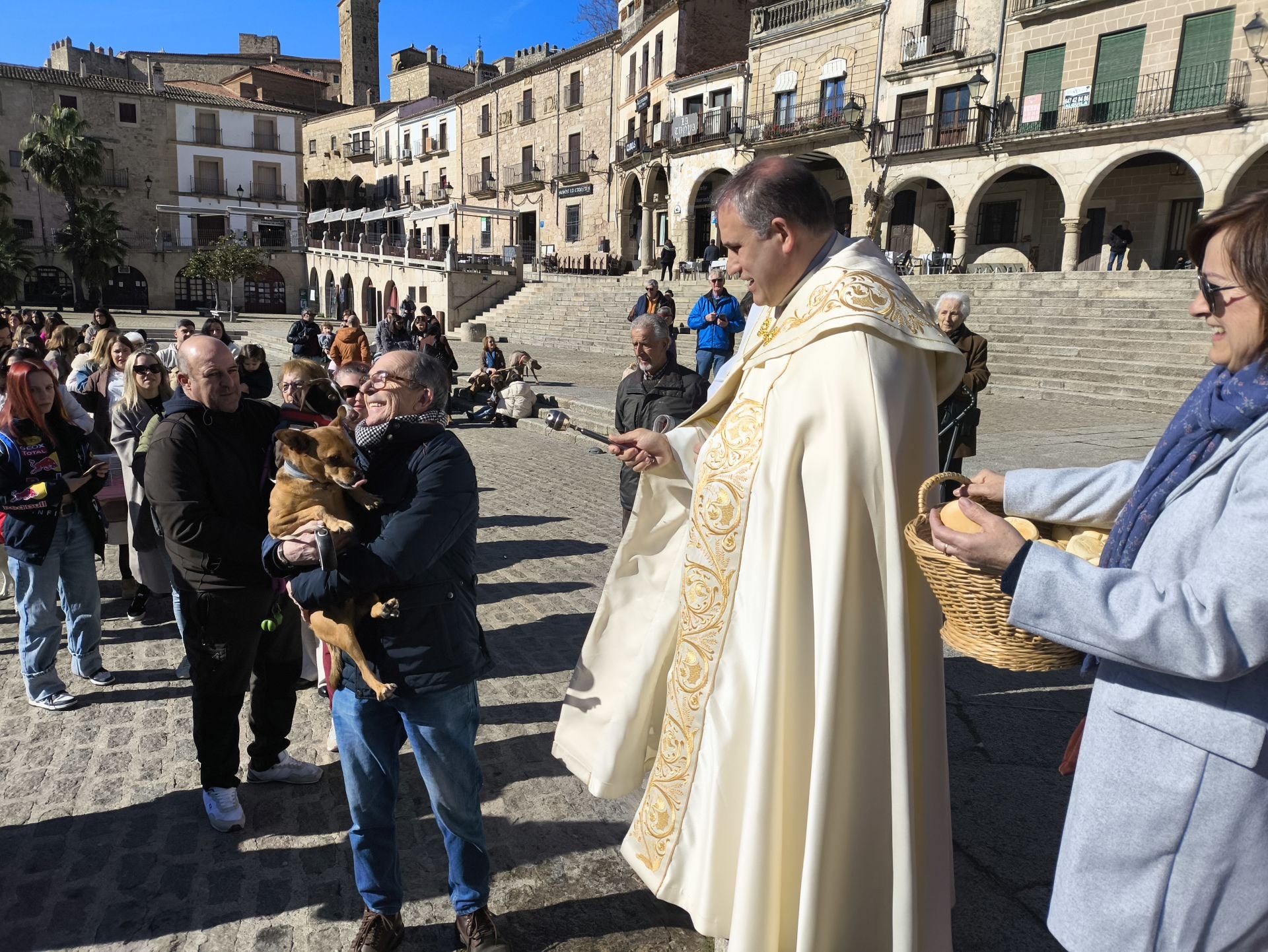 Las mascotas bendecidas por San Antón