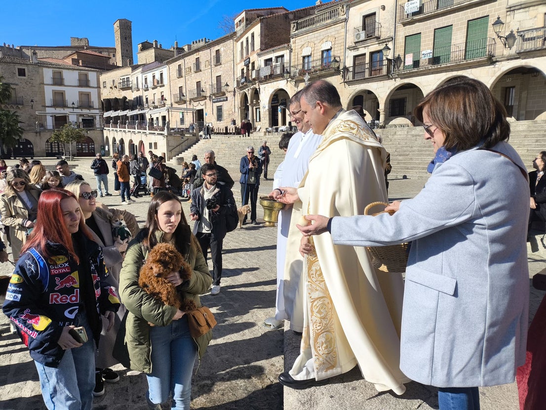 Las mascotas bendecidas por San Antón