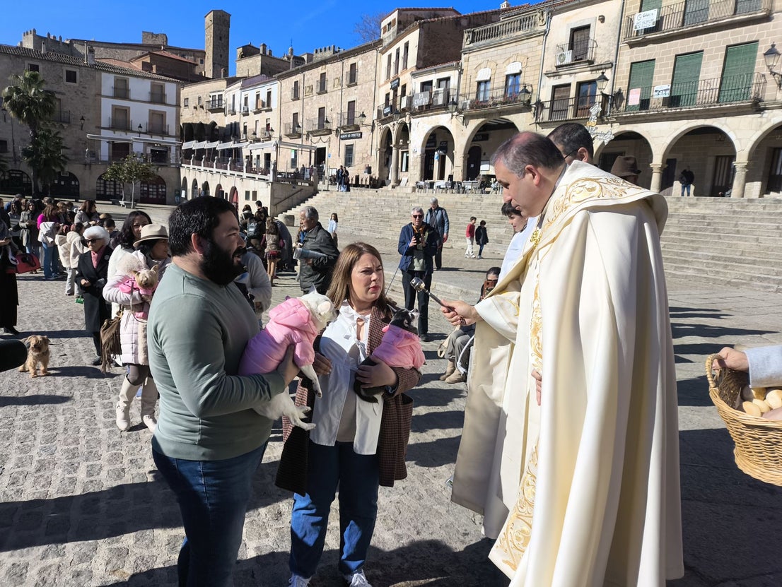 Las mascotas bendecidas por San Antón