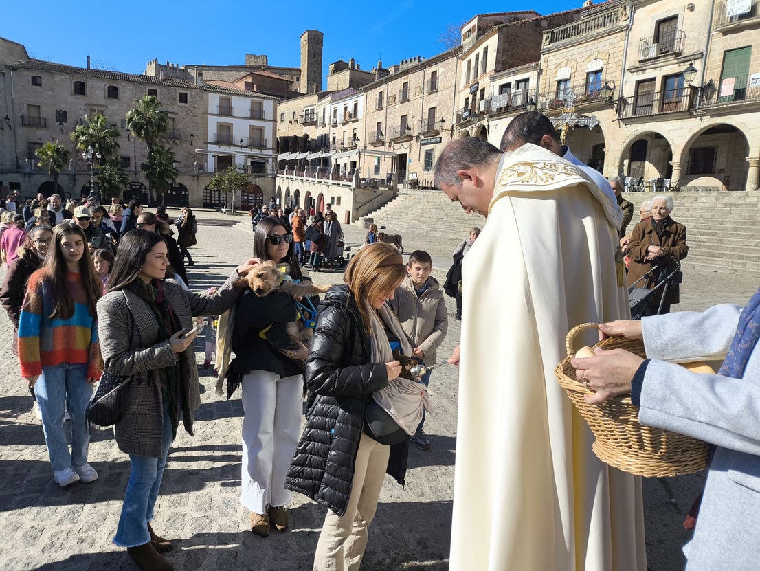 Las mascotas bendecidas por San Antón