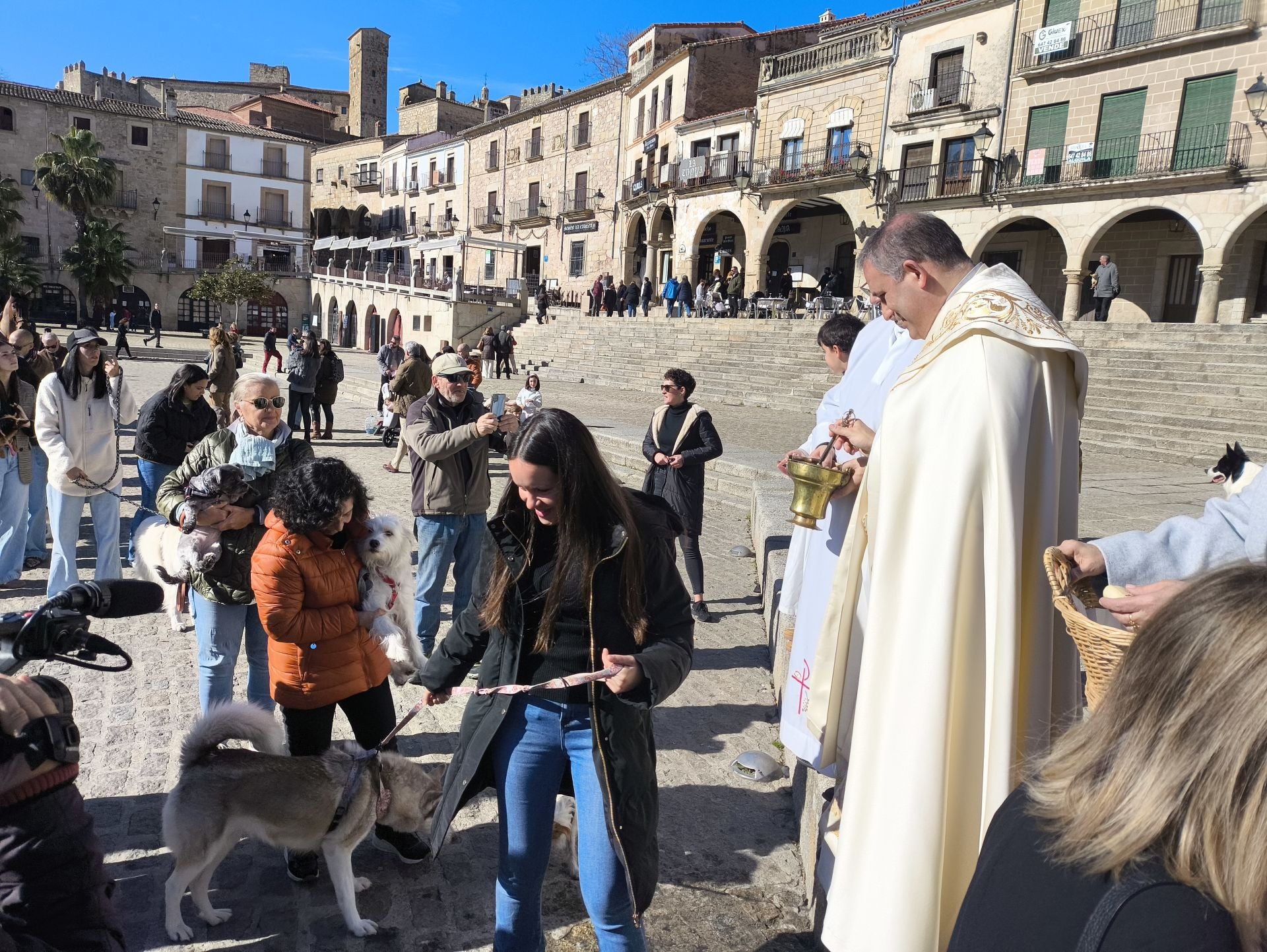 Las mascotas bendecidas por San Antón