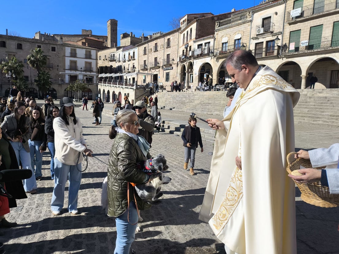 Las mascotas bendecidas por San Antón