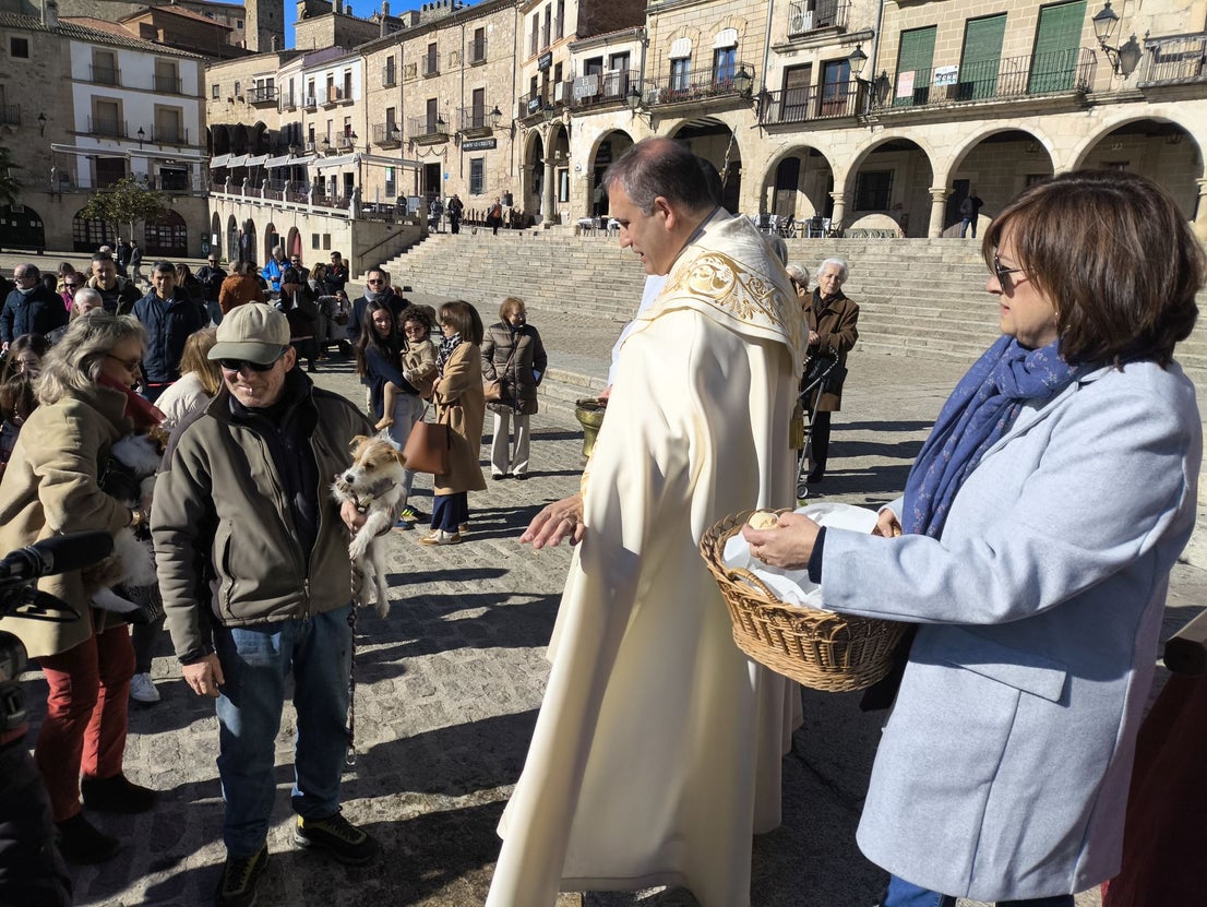 Las mascotas bendecidas por San Antón