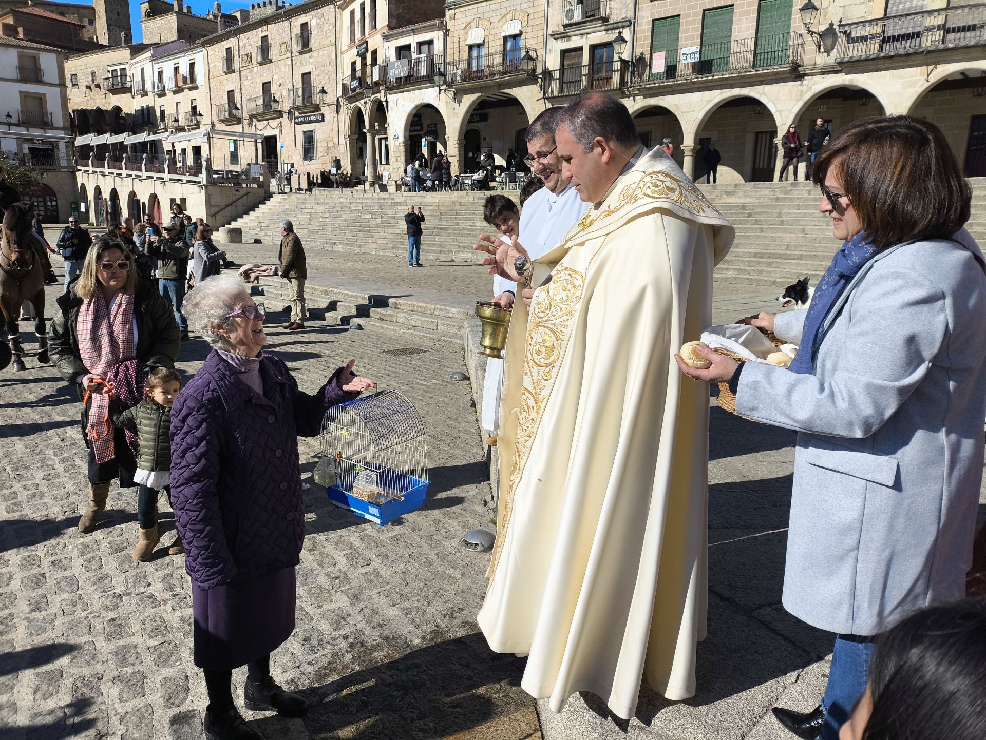Las mascotas bendecidas por San Antón