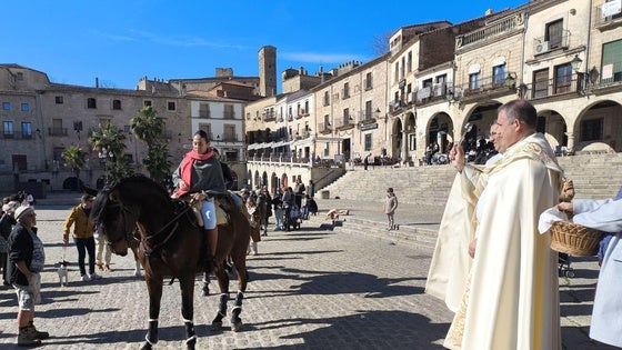 Las mascotas bendecidas por San Antón