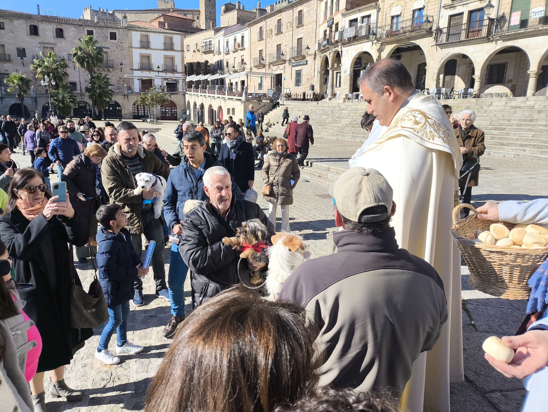 Las mascotas bendecidas por San Antón