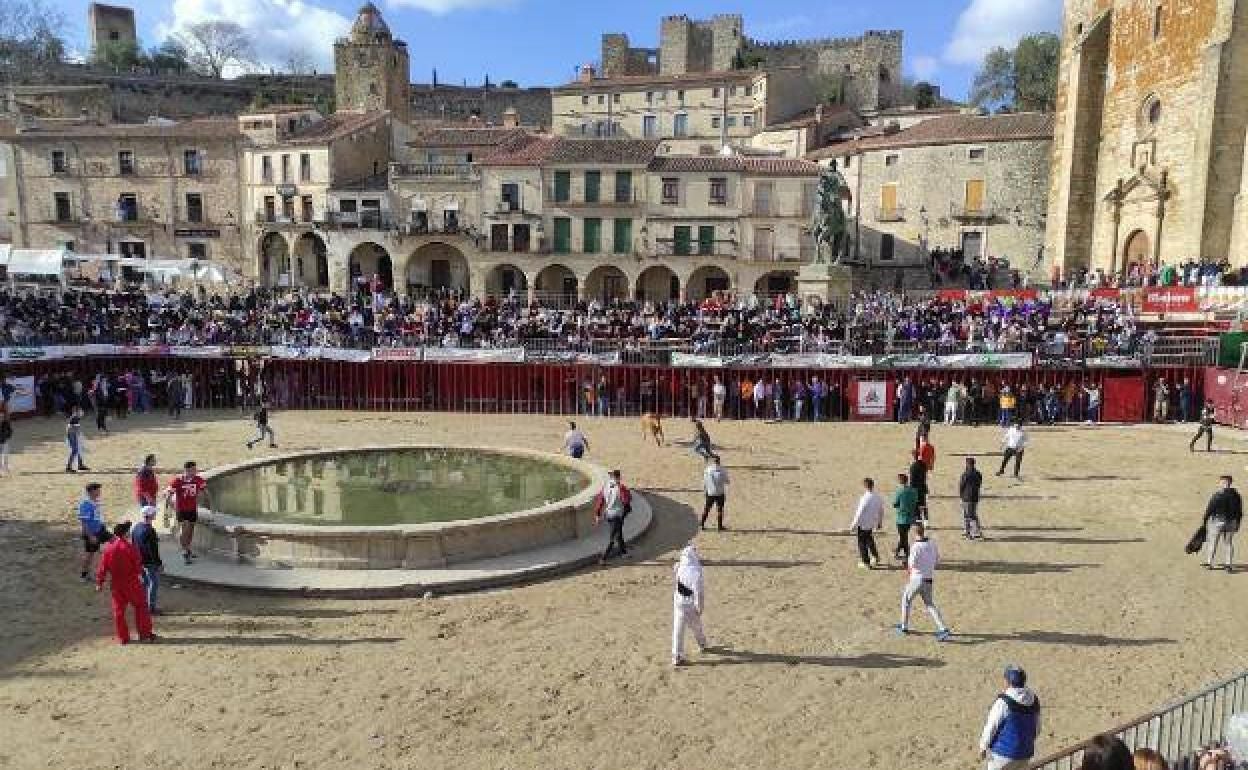 El Ayuntamiento programa los festejos taurinos para los Carnavales