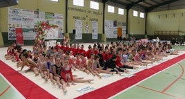 Participantes en este torneo.