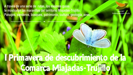 Adicomt arranca este fin de semana la 'I Primavera de Descubrimiento'