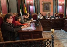 El edil en una sesión plenaria.