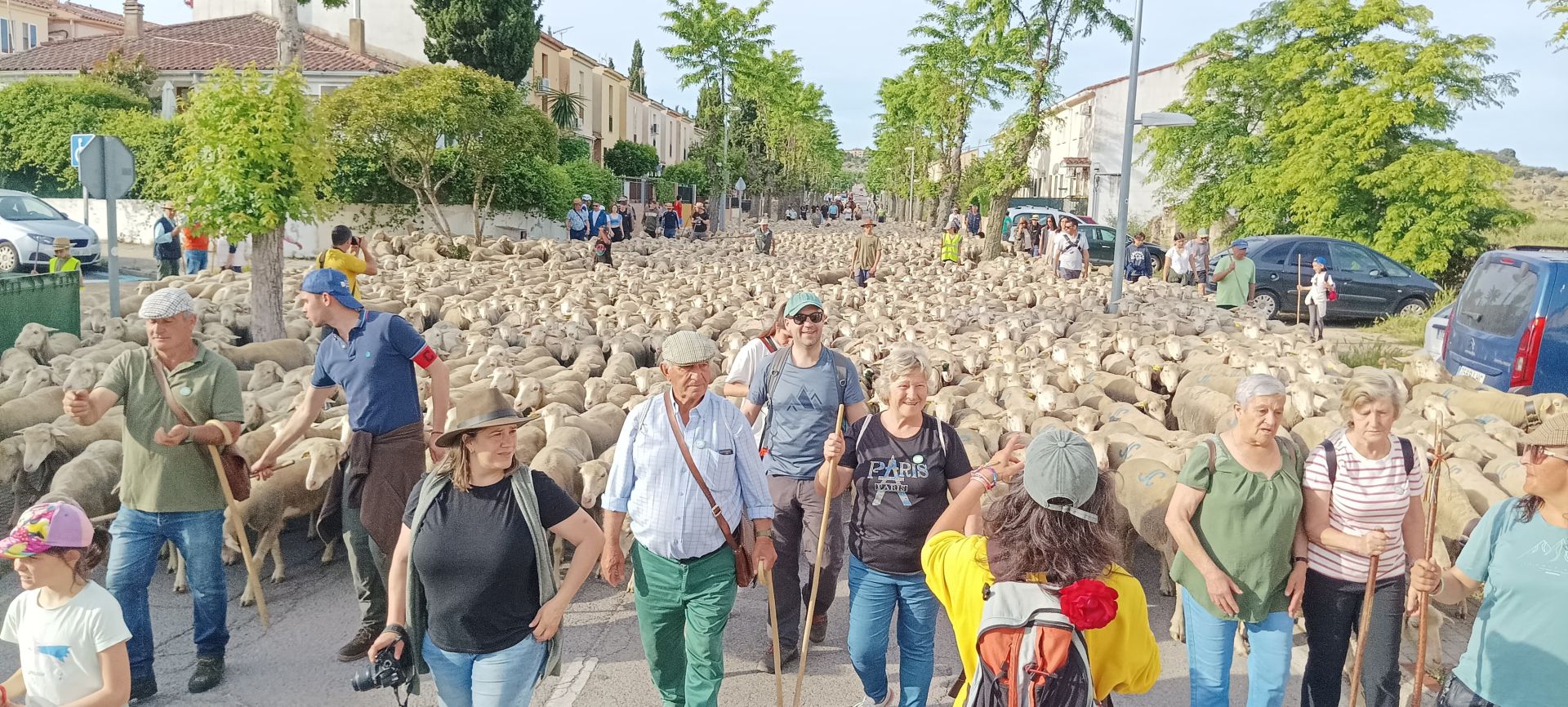 Calurosa despededida a José Manuel Sánchez, con sus 1.700 ovejas, camino de León