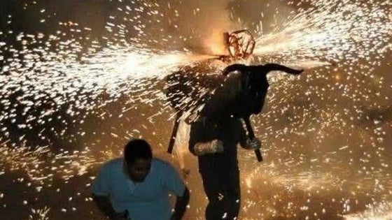Habrá una reunión en la Junta para que pueda salir el 'toro de fuego' de Belén con todas las garantías