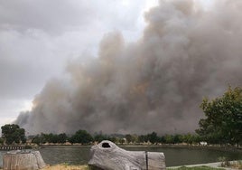 El humo provocado por el incendo de este martes.