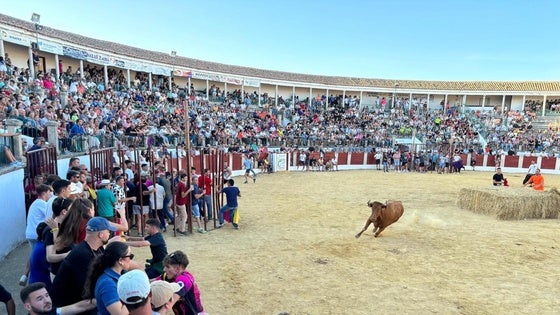 El Ayuntamiento saca a licitación la organización de los festejos taurinos de las fiestas