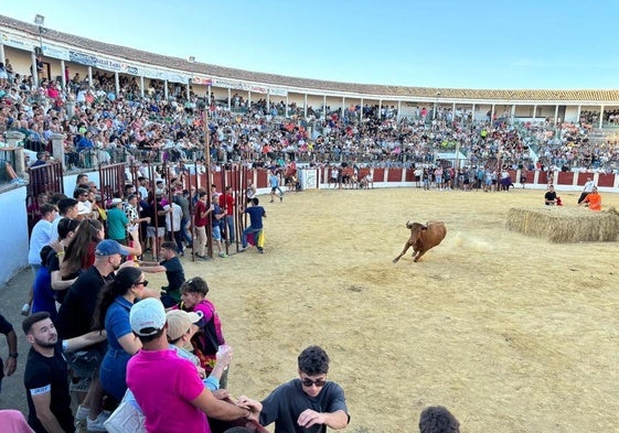 Uno de los festejos de una edición pasada.