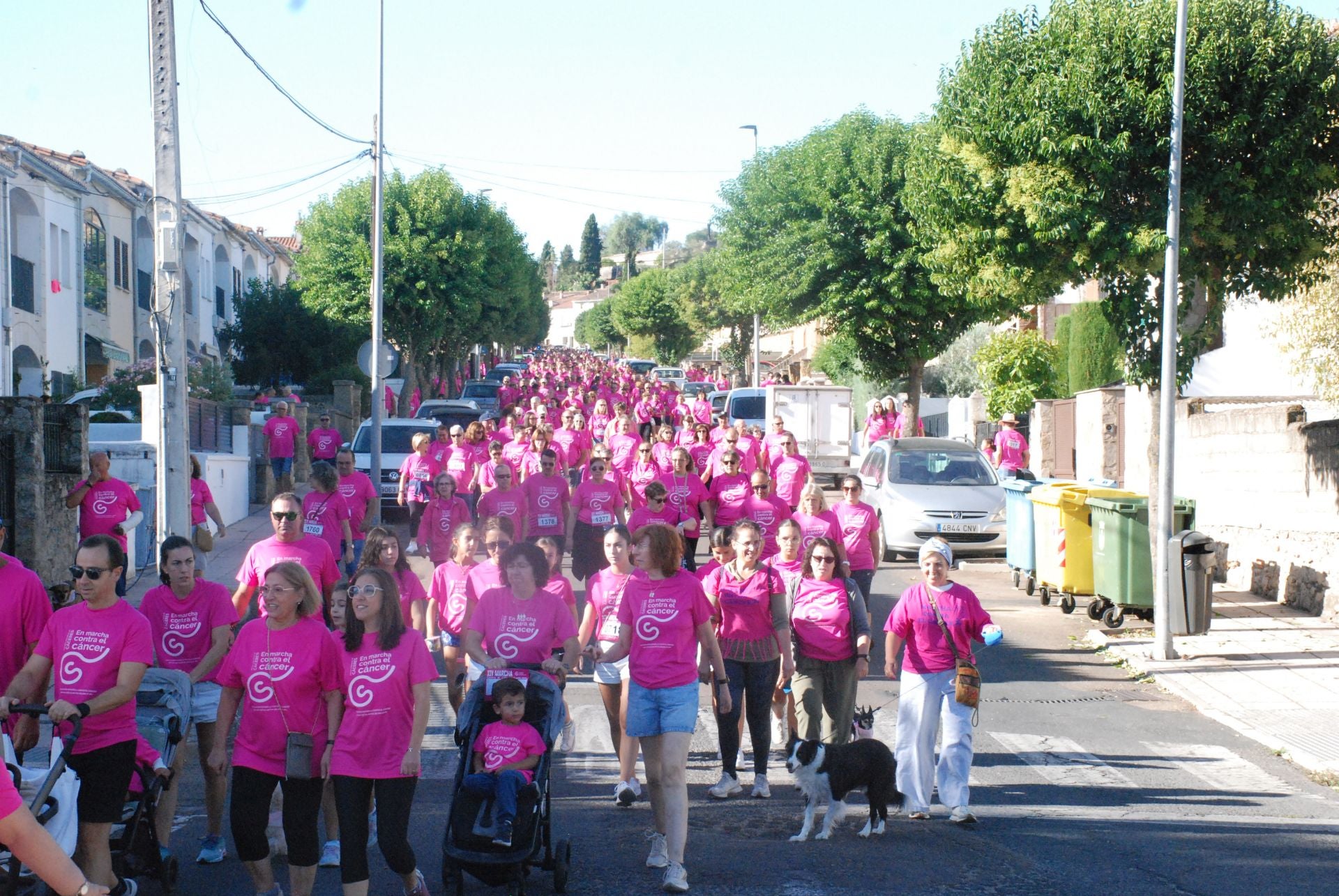 El rosa invade las calles para luchar contra el cáncer