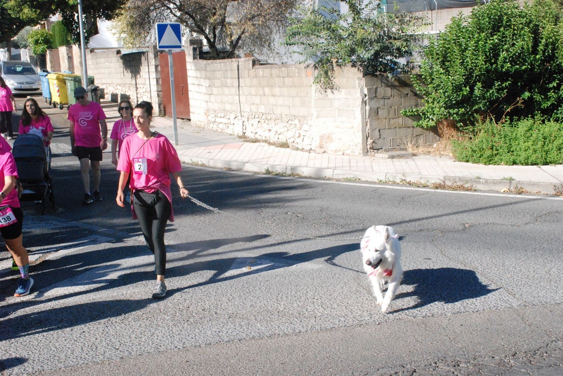 El rosa invade las calles para luchar contra el cáncer