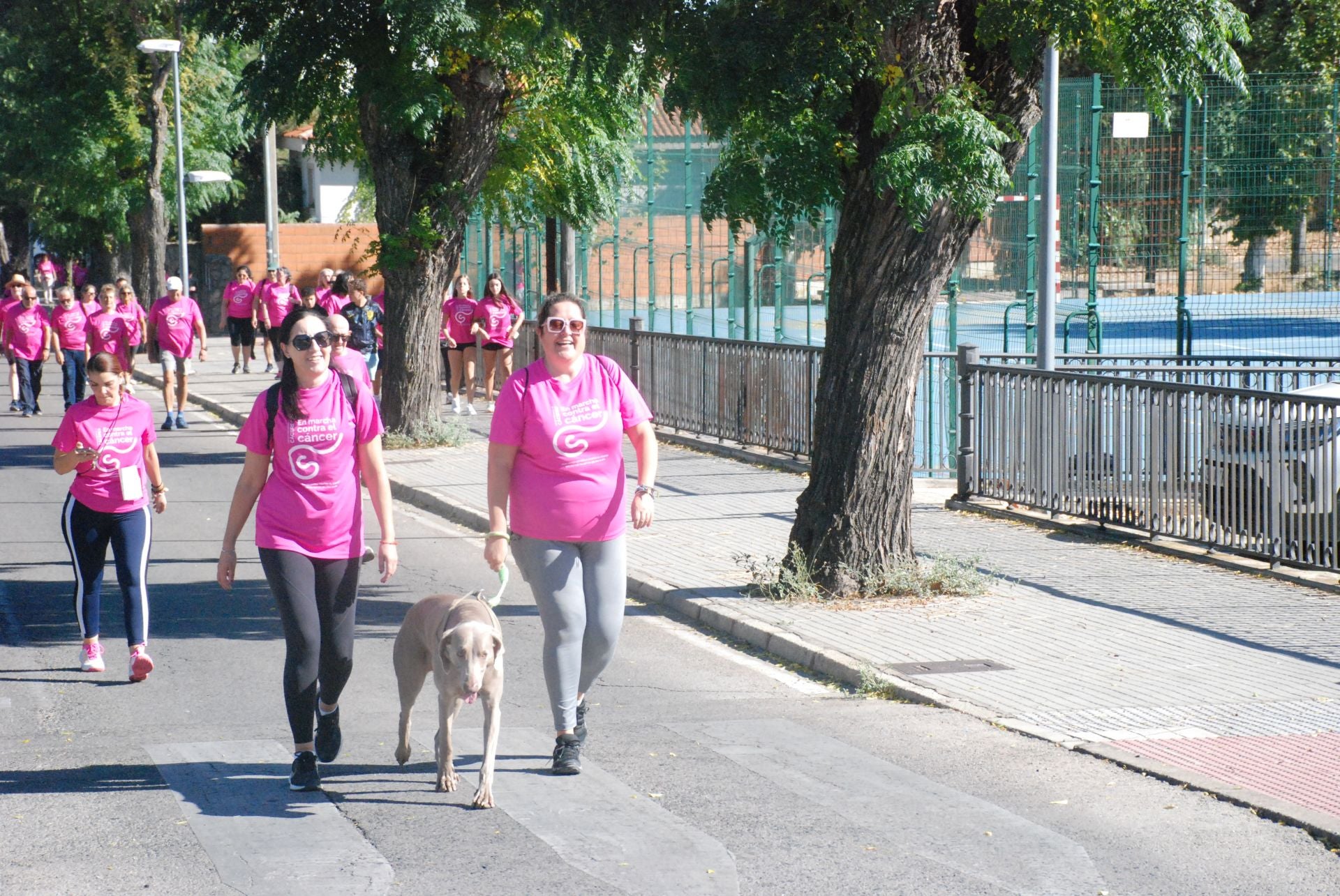 El rosa invade las calles para luchar contra el cáncer