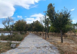 El PSOE critica el estado de calles, así como de parques y jardines.