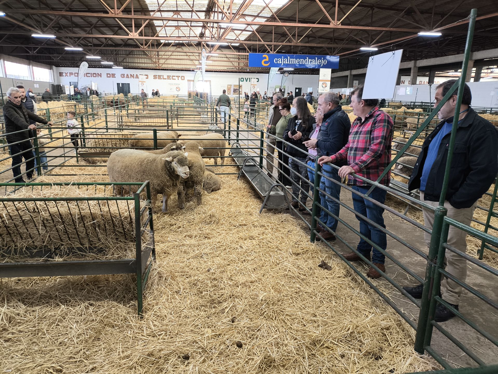 Visitantes viendo el ganado, en la feria de una edición anterior.
