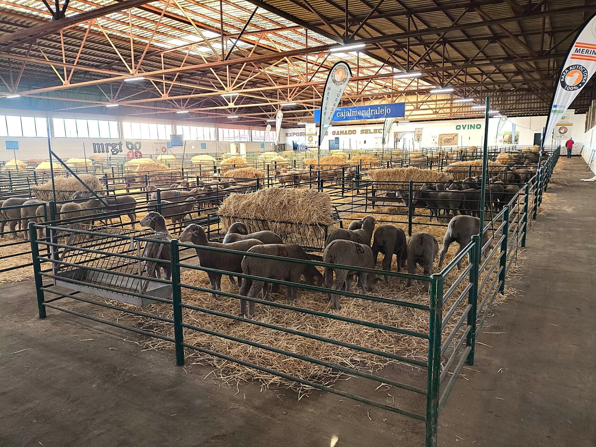 El Ayuntamiento saca a licitación las parcelas para poner casetas en la Agrognadera